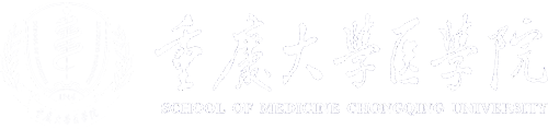 304am永利